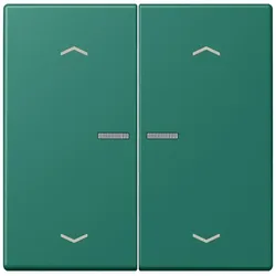 Jung Wippe mit Lichtleiter LC 102 KO5P 216