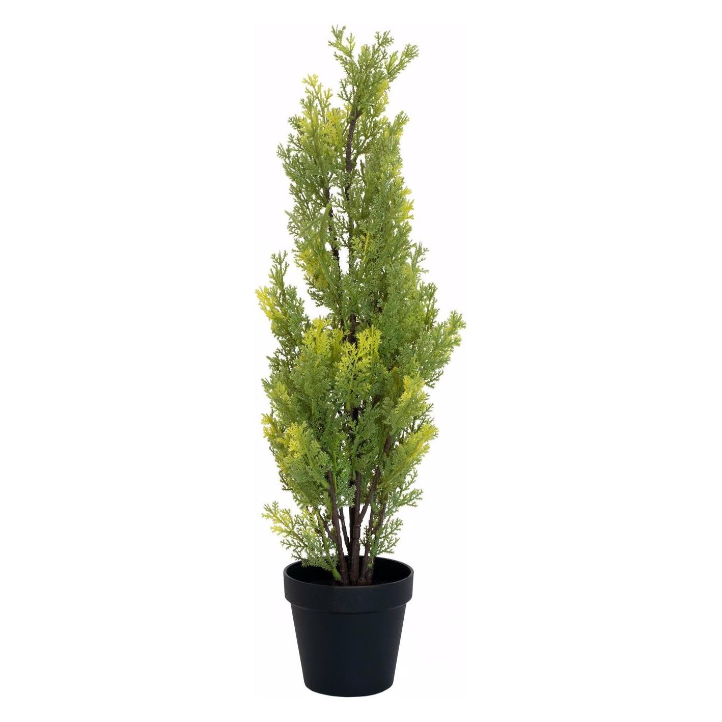 Europalms Zypresse (60 cm) (82606959)
