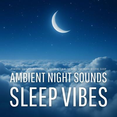 Sleep Vibes: Ambient Night Sounds - Ambient Night Sounds Lab, Audio, 4069828427617