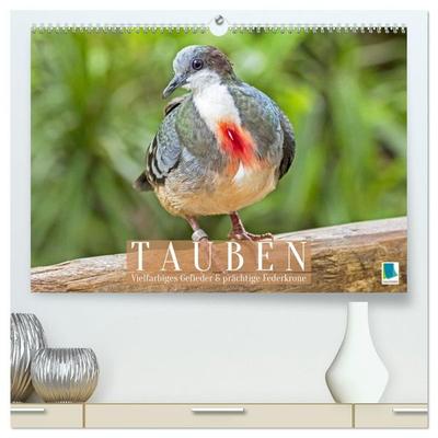 Tauben: vielfarbiges Gefieder und prächtige Federkrone (hochwertiger Premium Wandkalender 2027 DIN A2 quer), Kunstdruck in Hochglanz