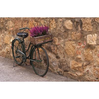 Papermoon "ALTSTADT-VINTAGE FAHRRAD XXL"