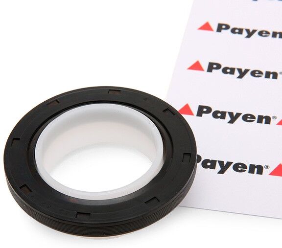 PAYEN NA5191 Crankshaft seal