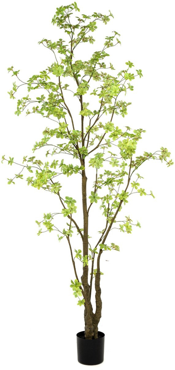 Emerald Kunstboom Tropaeolum - Kunstplant voor binnen - 270 cm