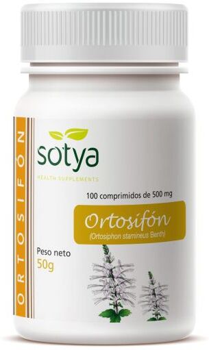 Sotya Ortosifon Java Tea 100 Comp