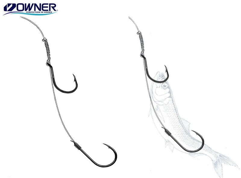 Owner Boa Rig Single