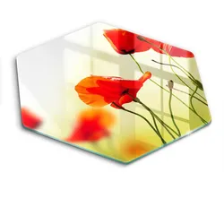 GLASPLATTE 40 cm Rote Blumen