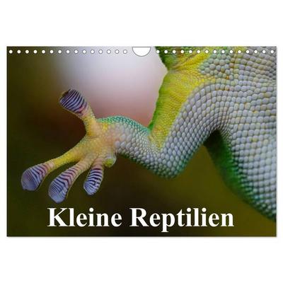 Kleine Reptilien (Wandkalender 2027 DIN A4 quer), CALVENDO Monatskalender