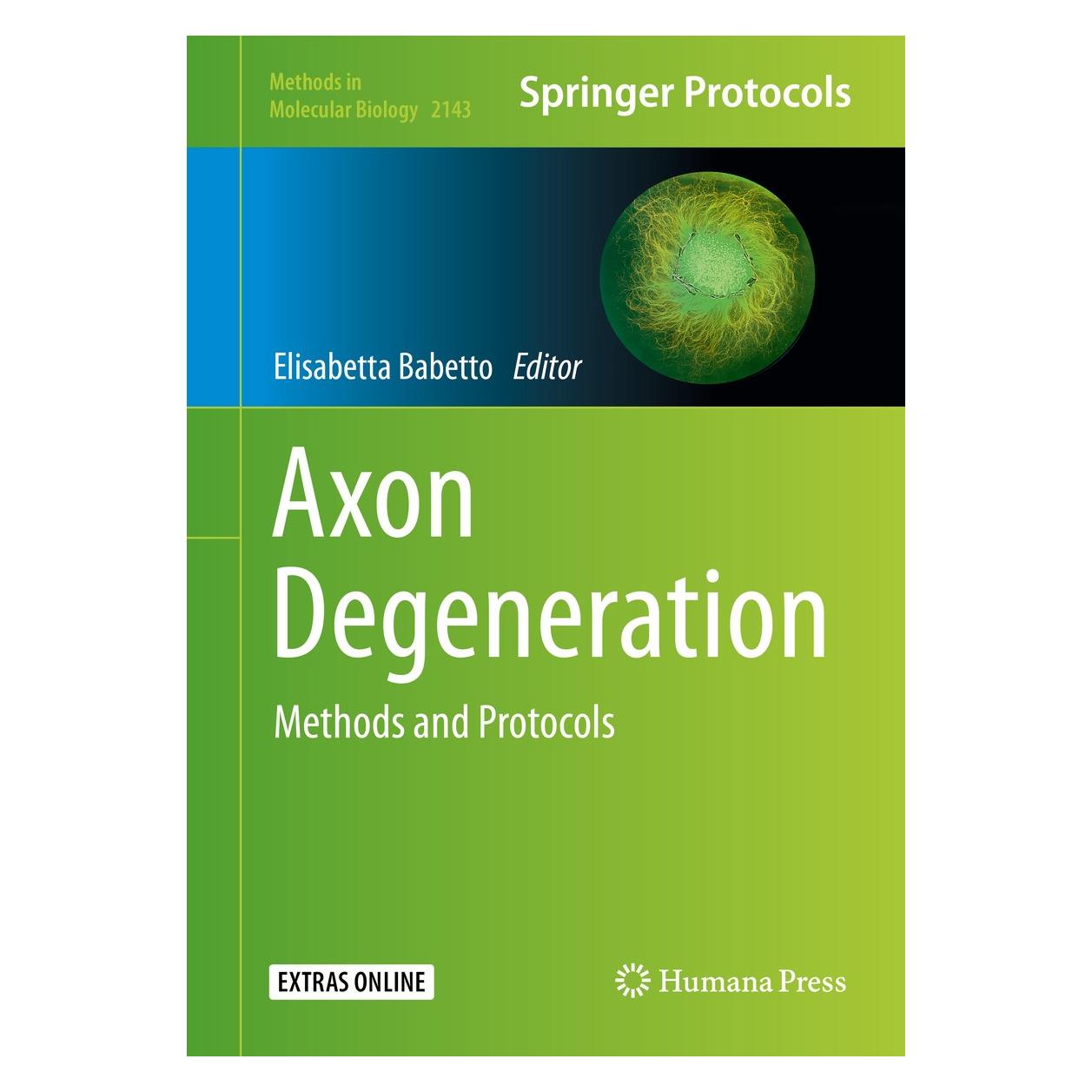 Springer Axon Degeneration (Englisch, Hardcover, Elisabetta Babetto) (9781071605844)