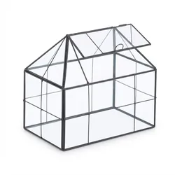 Relaxdays Pflanzenterrarium, Glas & Kupfer, 21x23x14 cm, Deko Glashaus Kakteen & Moos, Glaskasten Fensterbank, schwarz
