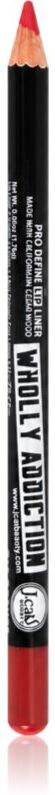 J.Cat Beauty Wholly Addiction contour lip pencil shade 206 Red Plush 1.76 g