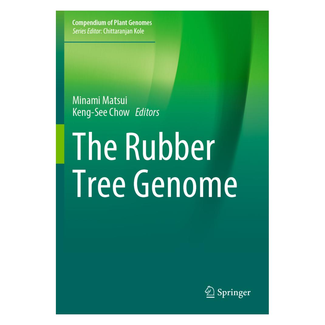 Springer The Rubber Tree Genome (Englisch, Softcover, Keng-See Chow, Minami Matsui) (56195288)