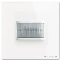 Busch-Jaeger Busch-Wächter 180 UP TBW/U.1.11-CG