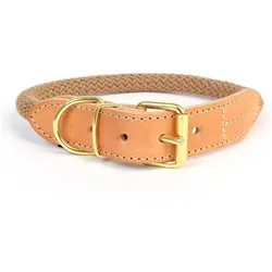 Duvoplus Explor Forest (Hund, Spazieren), Halsband + Leine