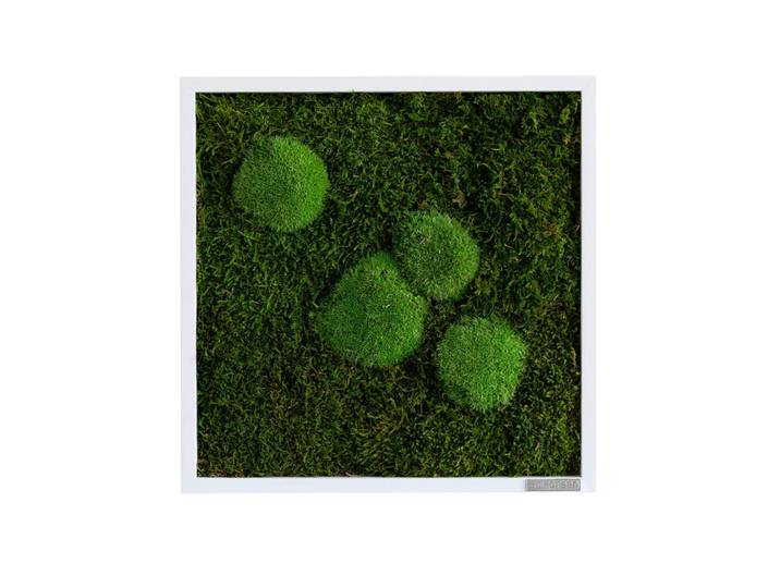 StyleGREEN Moosbild Stylegreen, Grün, Naturmaterialien, Eiche, Pflanzen, 35x35x6 cm, pflegefrei – nicht gießen oder besprühen, einfache und schnelle Anbringung, keine Beleuchtung notwendig, Bilder & Rahmen, Moosbilder