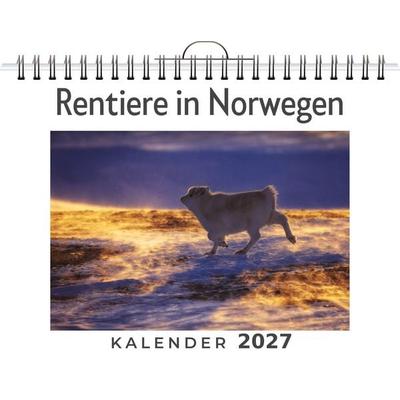Rentiere in Norwegen