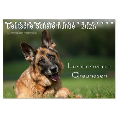 Deutsche Schäferhunde - Liebenswerte Graunasen (Tischkalender 2026 DIN A5 quer), CALVENDO Monatskalender