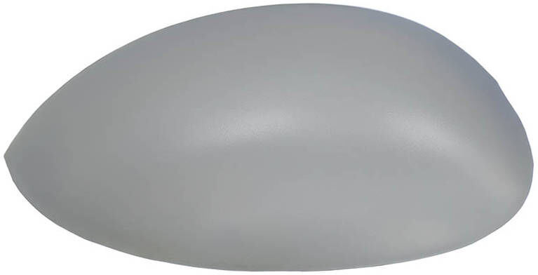 TYC 305-0160-2 Wing mirror cover