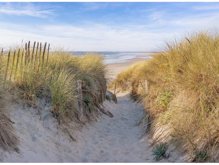 Fototapete PAPERMOON Dunes in Bretagne , bunt, B:4m L:2,6m, Vlies, Tapeten, Fototapete