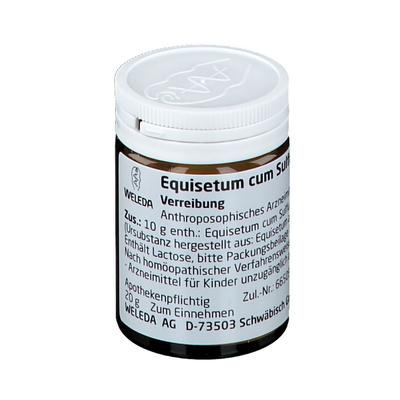 Equisetum CUM Sulfure tostum D 6 Trituration 20 g