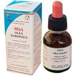 Herboplanet Msa Olea Europaea 50 ml