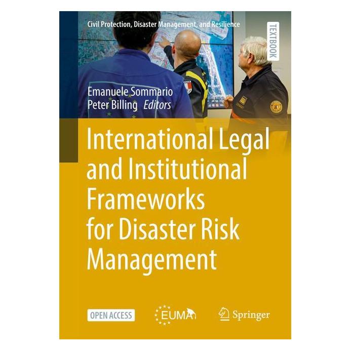 Springer International Legal and Institutional F (Englisch, Hardcover, Emanuele Sommario, Peter Billing) (67757929)