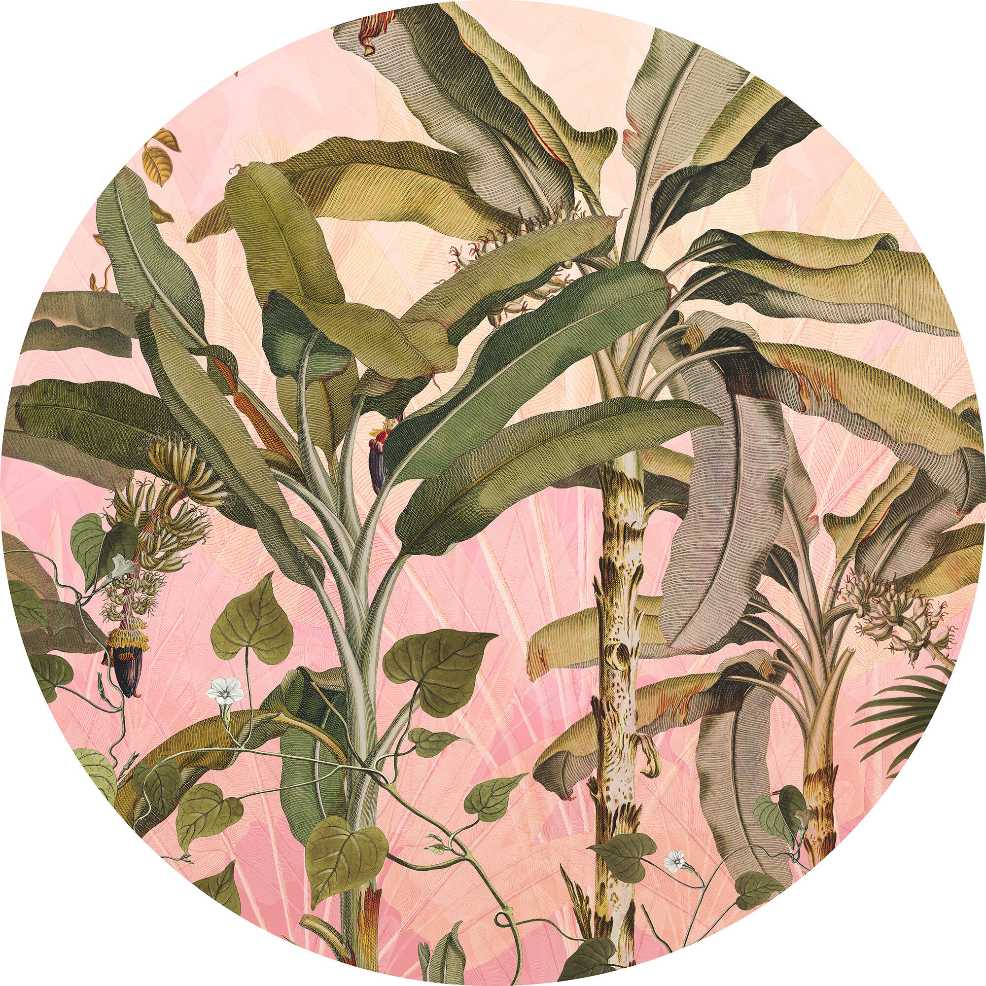 Fototapete KOMAR "Dot - selbstklebende Vlies Fototapete - Botany - Grösse 125 x 125 cm", rosa (pink), B:125m H:125m, Vlies, Tapeten, Fototapete pink B/L: 125m, Rollen: 1