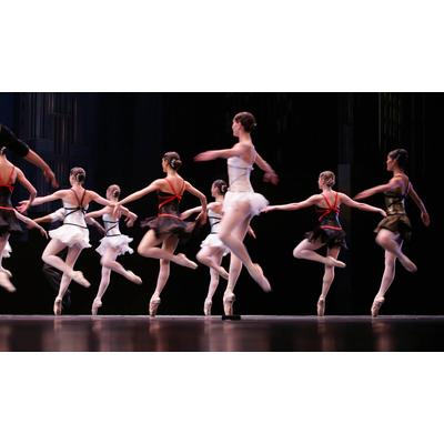 Fototapete PAPERMOON "Ballett", bunt, B:5m L:2,8m, Vlies, Tapeten