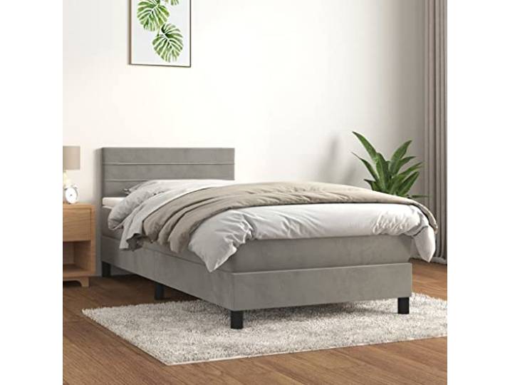 RJPLMFV Lattenrost und Matratze, Velours, Hellgrau, 100 x 200 cm Kopfteil verstellbar, Taschenfedern, mittelharte Unterstützung, weicher Matratzenschoner, inkl. Anleitung