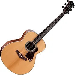 Taylor Gold Label 814e
