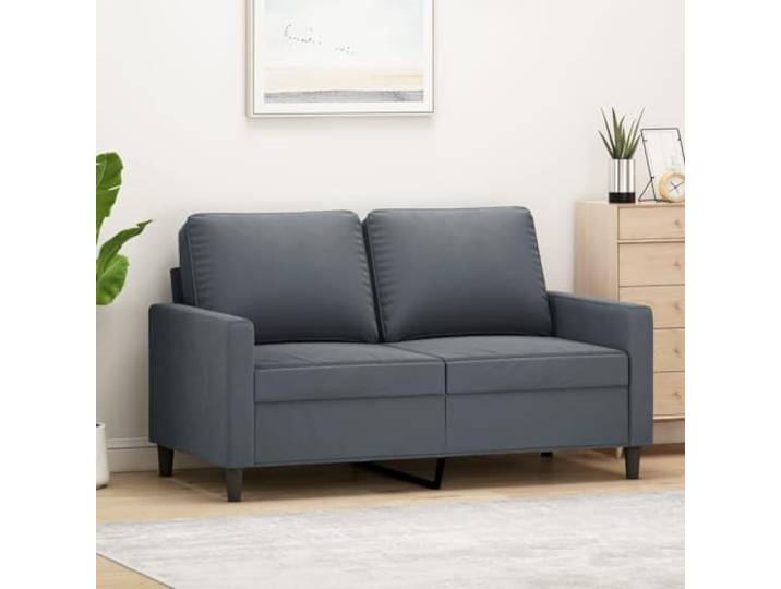 HEFZGDB 2-Sitzer Sofa Dunkelgrau 120 cm Samt Stoffbezug Metallgestell Polsterung Bequem Modernes Design Wohnzimmer Sitzgruppe Luxuriöses Möbelstück