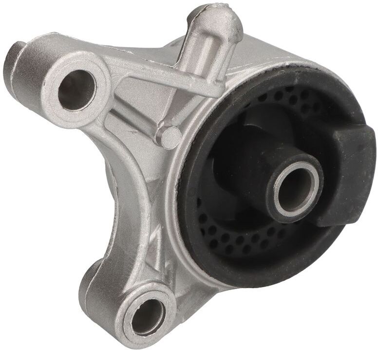 Motorträger DELPHI TEM006
