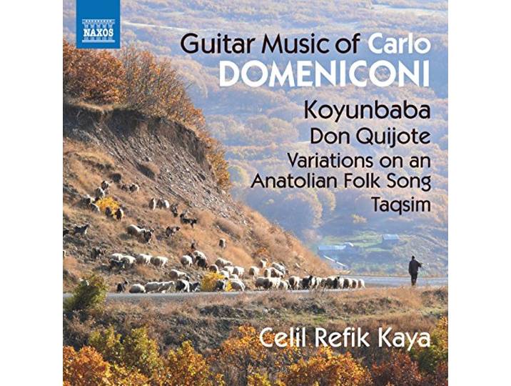 Guitar Music