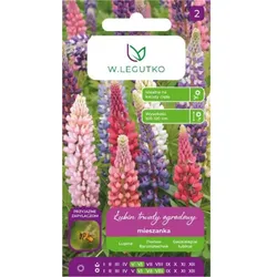 Russel-Lupine-Mischung