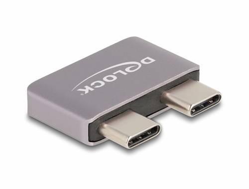Delock USB 2.0 Adapter [2x USB-C Stecker - 2x USB-C Buchse] 60055