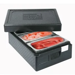 Thermo Future Box Thermo future Isothermischer Behälter Eis +3 Box 600
