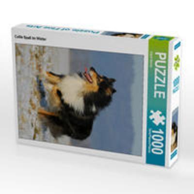 CALVENDO Puzzle Collie Spaß im Winter 1000 Teile Lege-Größe 48 x 64 cm Foto-Puzzle Bild von Sigrid Starick