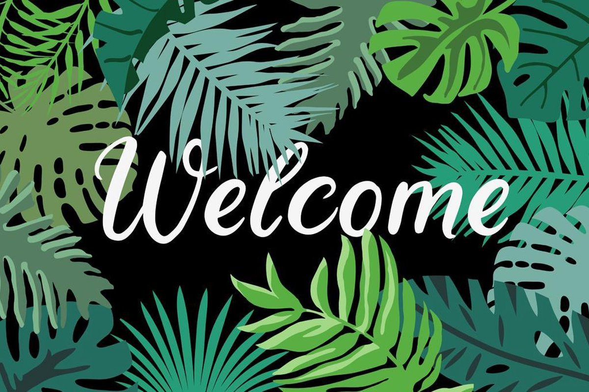 JoY@Mat Luxe Indoor Mat Welcome Jungle Schoonloopmat en Deurmat van Polyamide - 40 x 60 cm