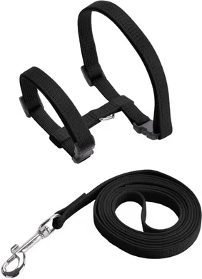 Inspire Curations ComfortFit Sphynx Cat Harness & Leash Set black weight Within 4kg
