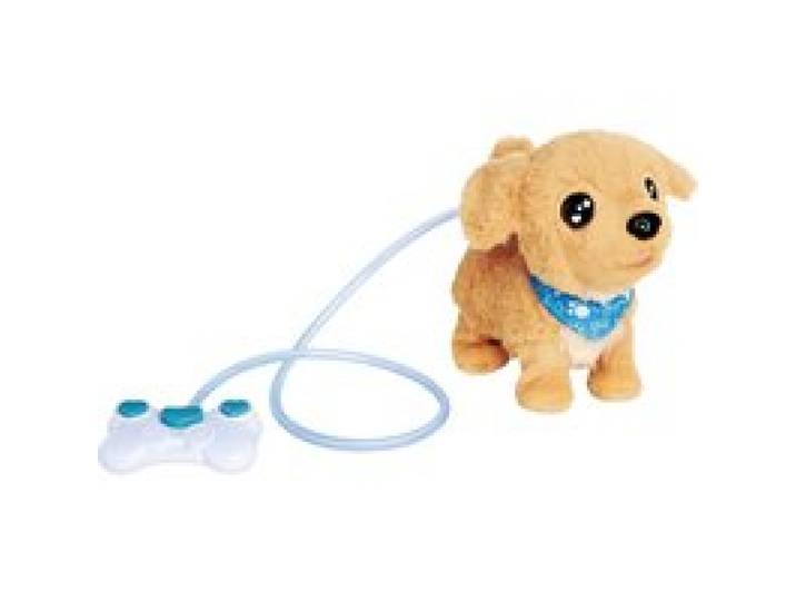 Loomy - Golden Retriever