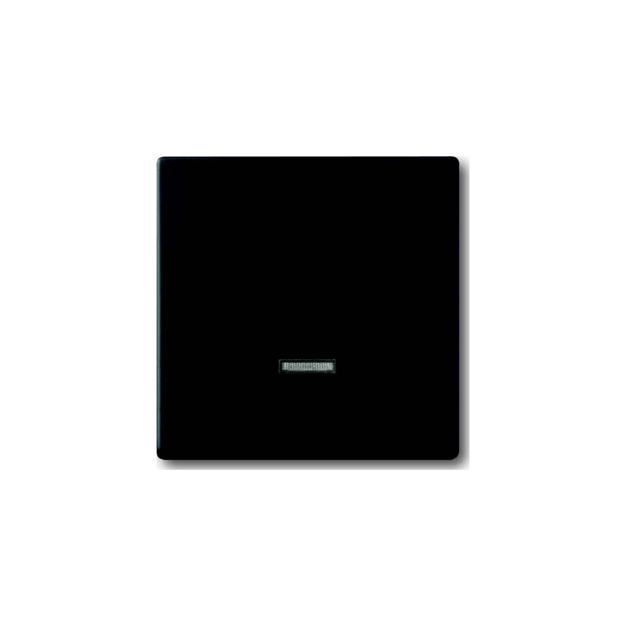 Busch-Jaeger Bedienelement Memory 6543-885-101 (2CKA006599A2968)