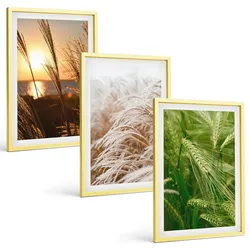 BILDER SET 3er Set - 40x60 cm Goldrahmen - Gräser farbenfrohe Natur