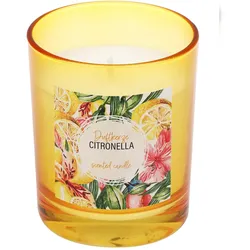 Steinhart Kerzen Citronella Kerzer im Glas Colour "Tropical" Gelb 79/65 mm