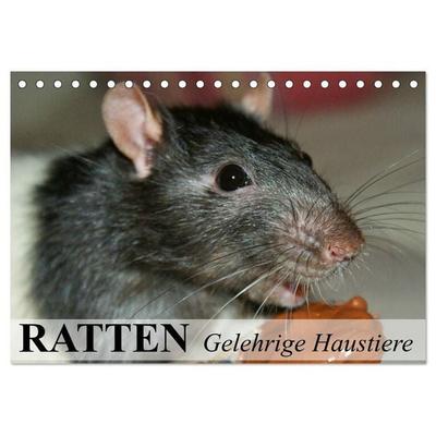 Ratten - Gelehrige Haustiere (Tischkalender 2027 DIN A5 quer), CALVENDO Monatskalender