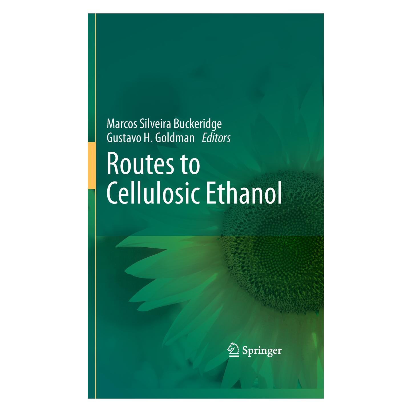 Springer Routes to Cellulosic Ethanol (Englisch, Hardcover, Gustavo H Goldman, Marcos Silveira Buckeridge) (9780387927398)