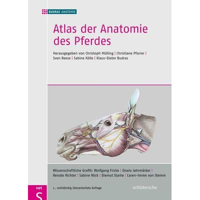 Atlas der Anatomie des Pferdes, Gebundene Ausgabe von Budras Anatomie, Schlütersche Verlag, 978-3-89993-089-4