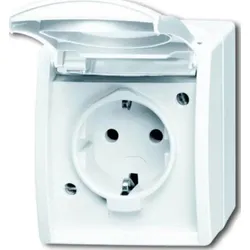 Busch-Jaeger Schuko-Steckdose mit Klappdeckel 20 EW-54