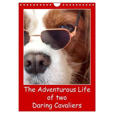 Ola Feix, E: Adventurous Life of two Daring Cavaliers (Wall