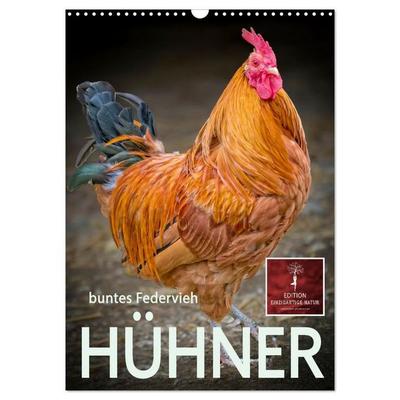 Hühner - buntes Federvieh (Wandkalender 2027 DIN A3 hoch), CALVENDO Monatskalender