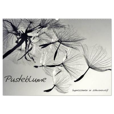 Pusteblume - Impressionen in schwarzweiß (Wandkalender 2027 DIN A2 quer), CALVENDO Monatskalender
