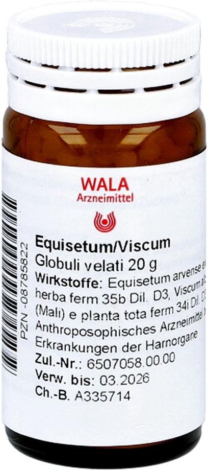 Equisetum/viscum Globuli